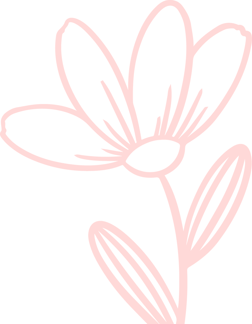 Elegant Pink Floral Line Art on Transparent Background