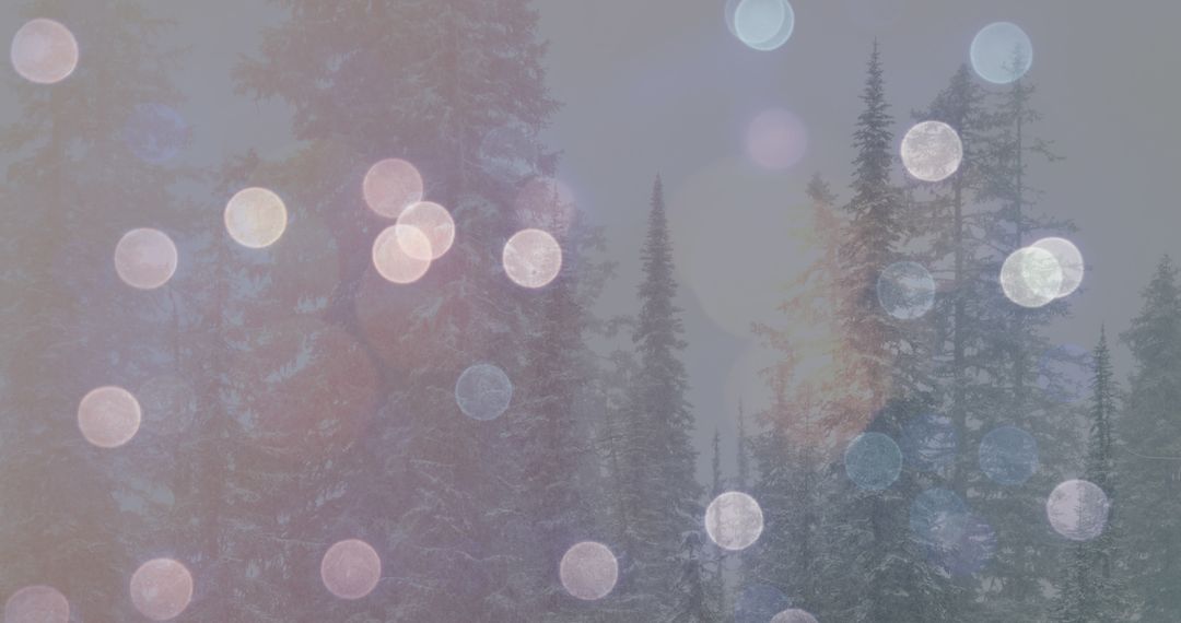 Winter Wonderland with Festive Bokeh Lights Overlay