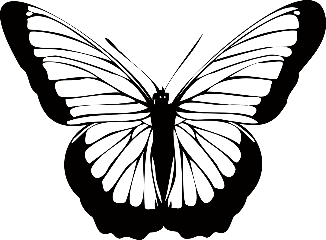 Butterfly Silhouette with Transparent Background