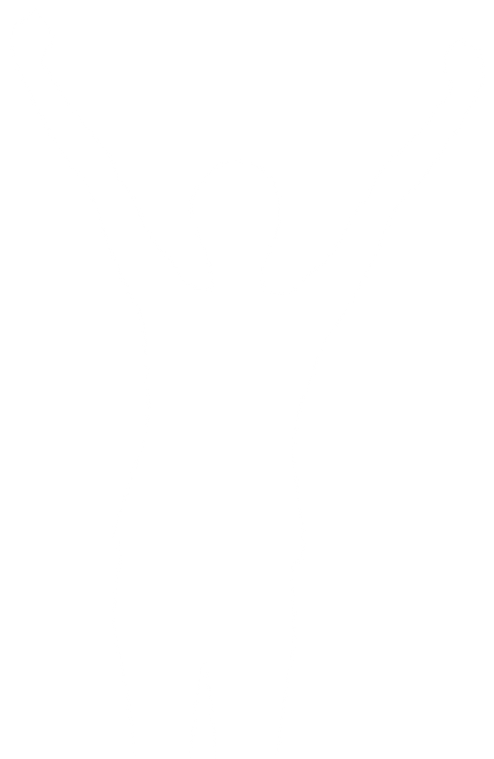 Silhouette of Cheering Woman on Transparent Background, Digital Vector Illustration - Download Free Stock Images Pikwizard.com