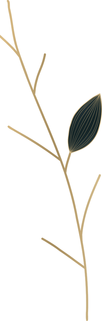 Elegant Botanical Branch with Charcoal Leaf on Transparent Background