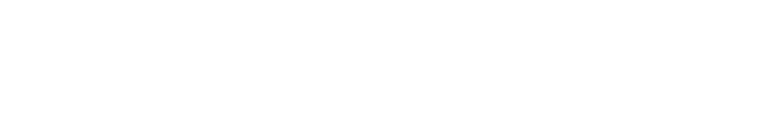 Beer Festival Text on Transparent Background Vector Illustration