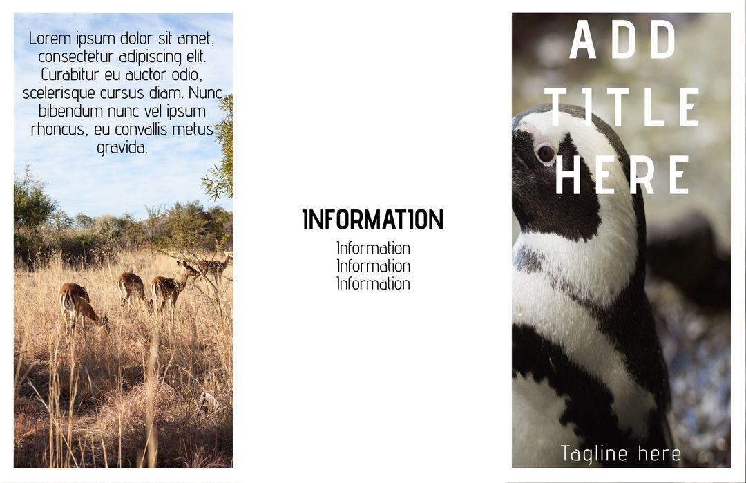 Wildlife Conservation and Biodiversity Promotion Template