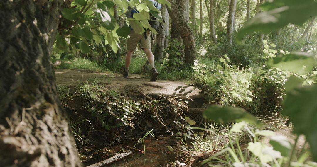 Hiker Crossing Forest Trail Bridge Over Stream - Free Images, Stock Photos and Pictures on Pikwizard.com