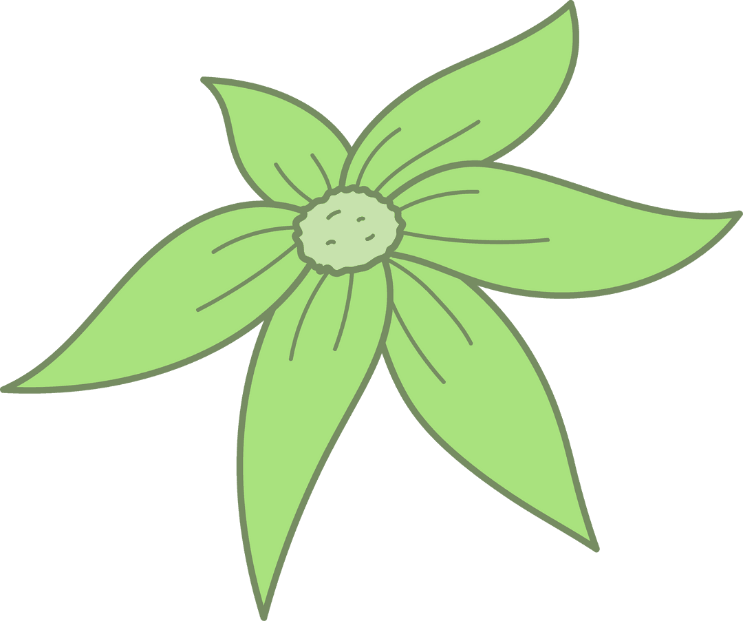 Stylized Green Five-Petal Flower on Transparent Background