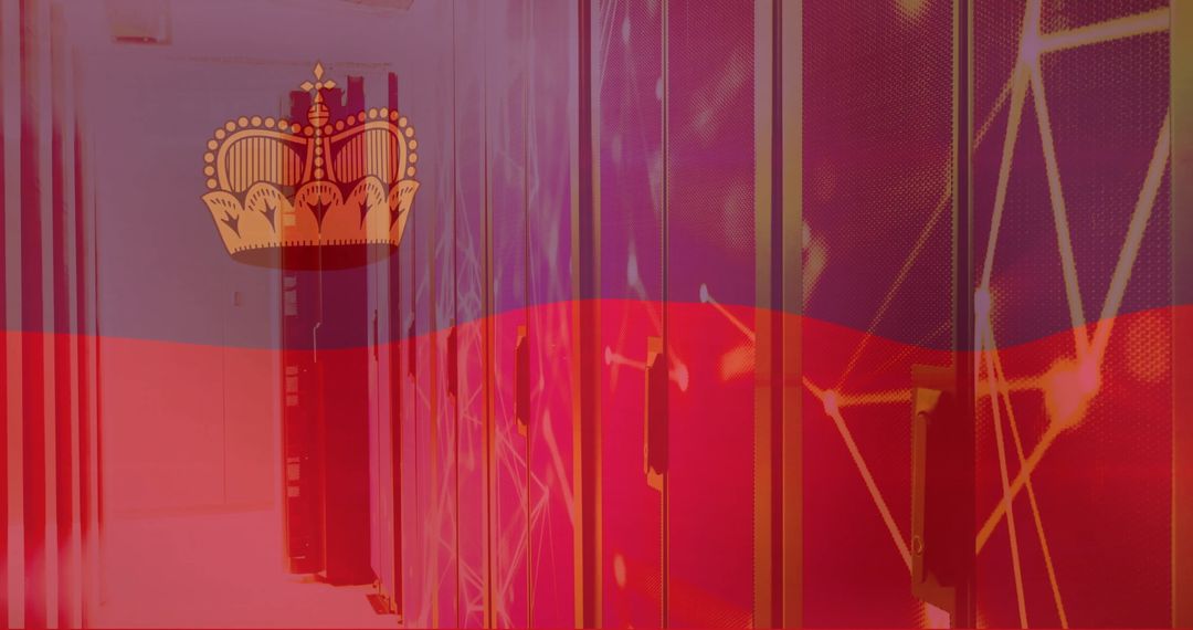 Liechtenstein Flag Overlay on Digital Data Servers Background