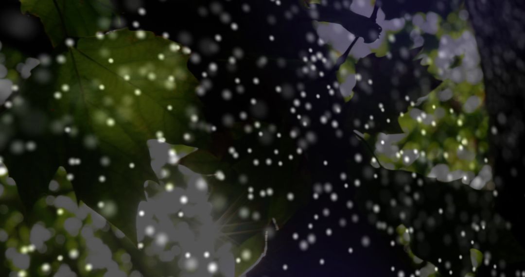 Digital DNA Structure with Sunlight Through Leaves