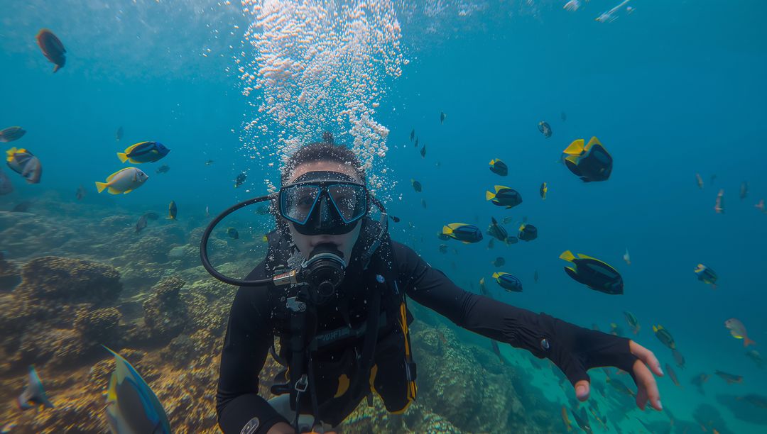 Scuba Diver Experiencing Marine Life in Tropical Waters