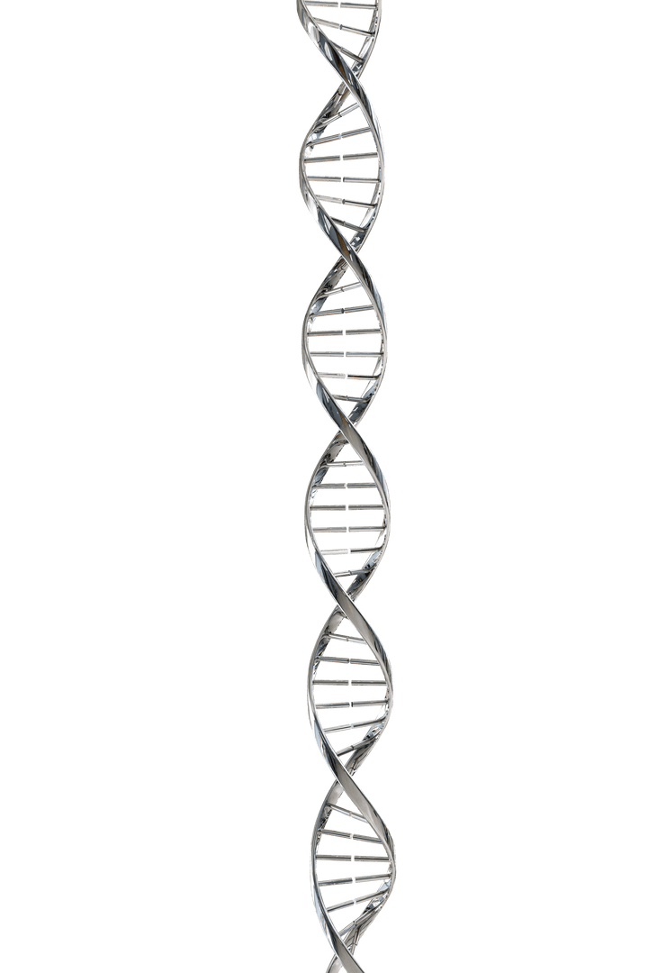 Transparent Molecular Structure DNA Helix Illustration