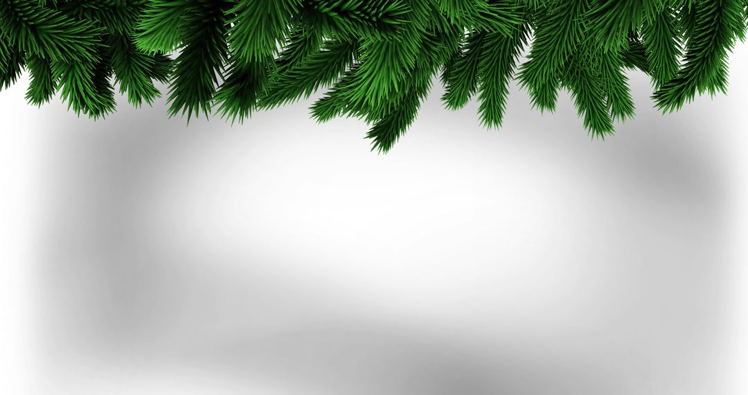Elegant Pine Branches Holiday Background with Copy Space