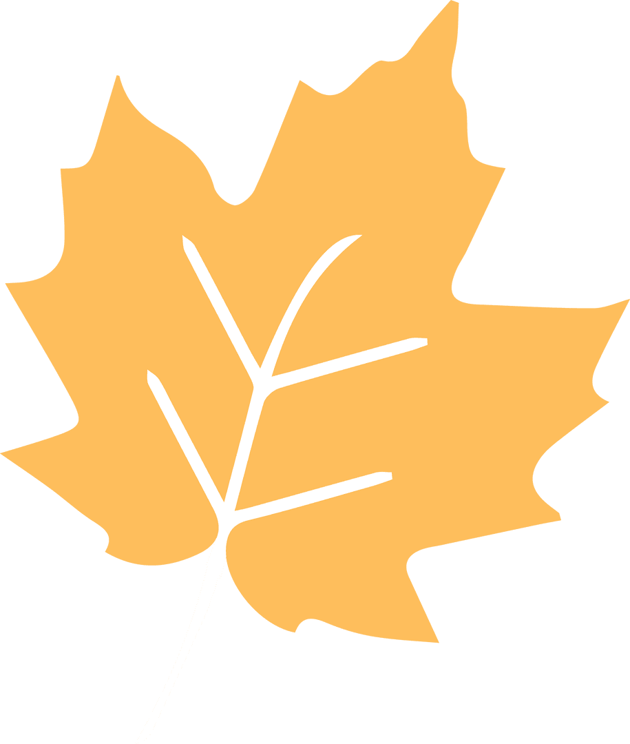 Yellow-Orange Leaf Illustration with Transparent Background