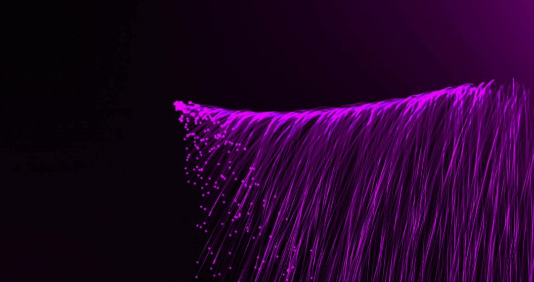 Purple Light Trails on Black Background with Abstract Patterns