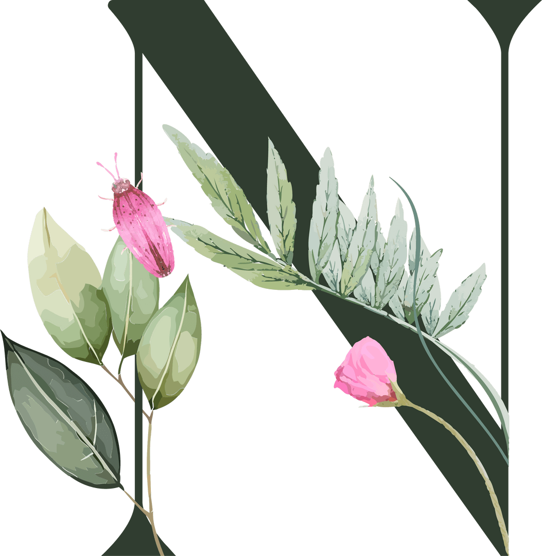 Decorative Botanical Letter N with Flowers on Transparent Background