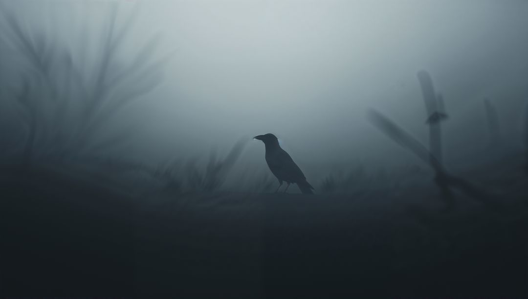 Mysterious Crow Silhouette in Foggy Marsh at Dawn