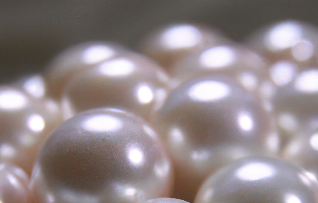 Close up of pearls created using generative ai technology - Free Images, Stock Photos and Pictures on Pikwizard.com