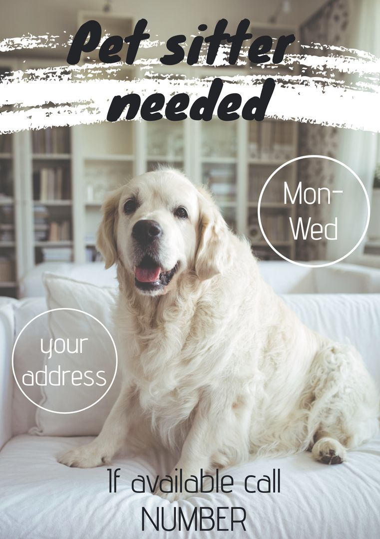 Golden Retriever Seeks Pet Sitter in Cozy Home