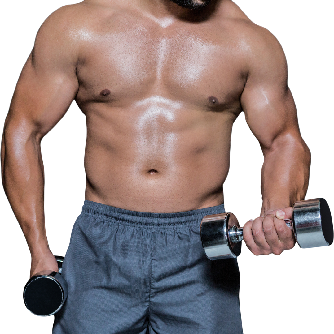 Transparent Muscular Torso with Dumbbells for Fitness Design - Download Free Stock Images Pikwizard.com