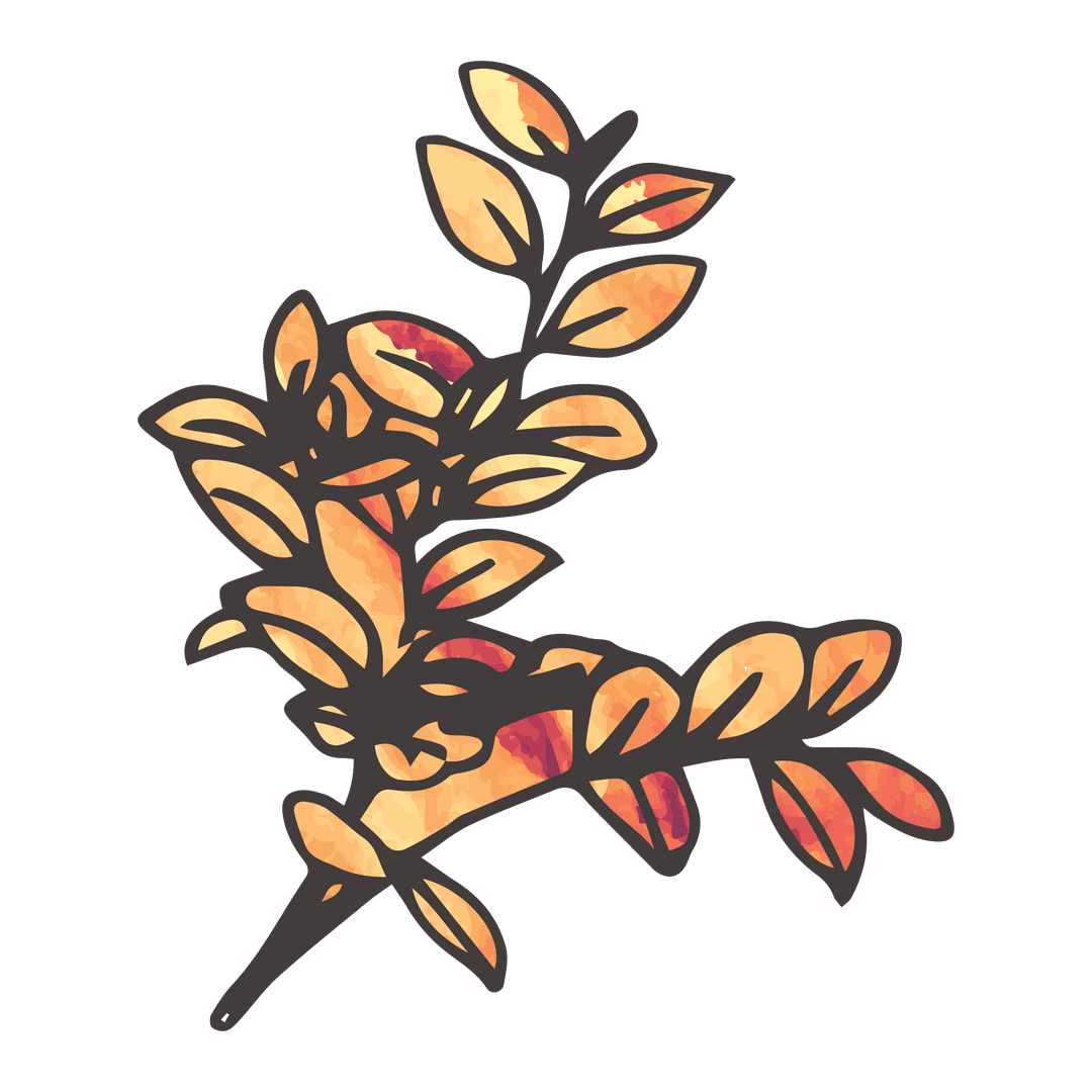 Transparent Digital Illustration of Orange Plant Isolated on Transparent Background