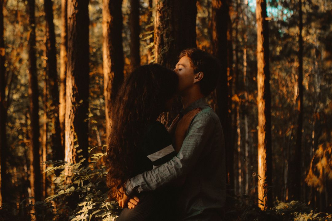2 People Hugging Near Trees With Orange Sunlight - Free Images, Stock Photos and Pictures on Pikwizard.com