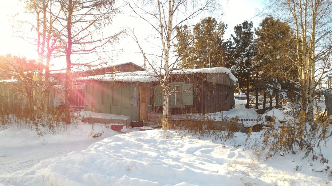 Cozy Wooden Cabin in Winter Forest with Sunlight - Free Images, Stock Photos and Pictures on Pikwizard.com