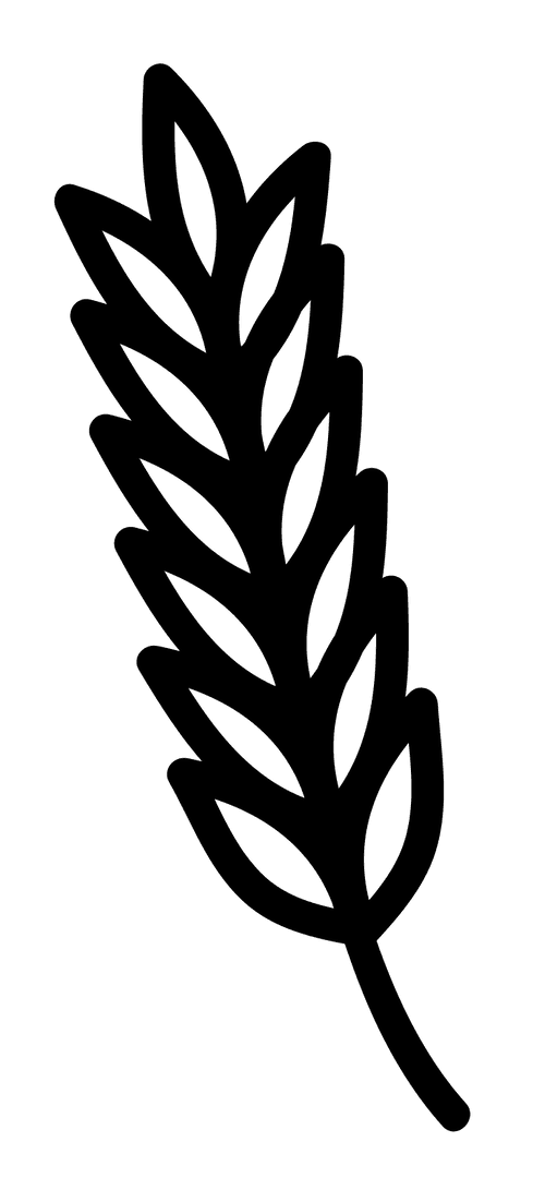 Cereal Symbol Illustration on Transparent Background