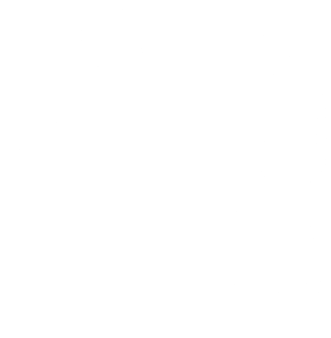 Silhouettes of Male Golfing Player on Transparent Background for Sport Concepts - Download Free Stock Images Pikwizard.com