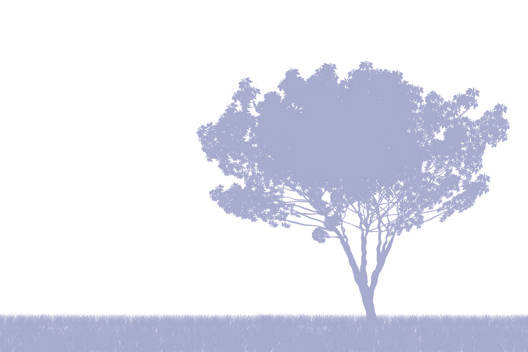 Transparent Tree and Grass Silhouette Illustration for Mockup Designs