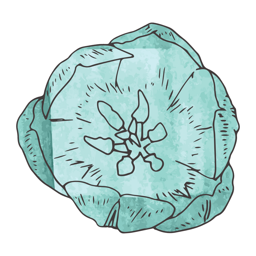 Transparent blue flower vector illustration with detailing