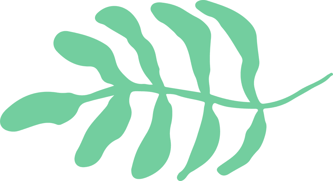 Elegant Green Stylized Frond on Transparent Background