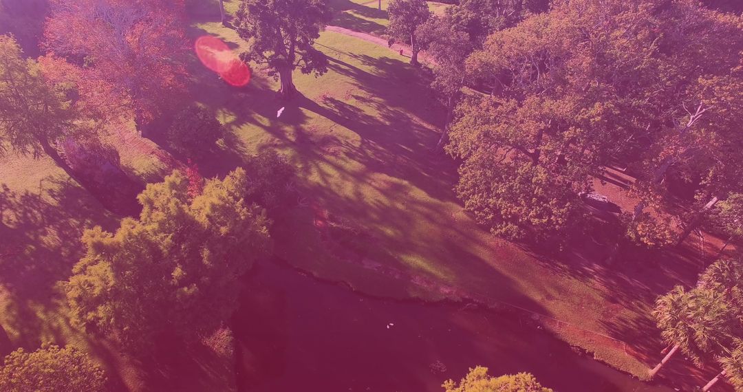 Aerial View of Lush Park with Birds Beneath Pink Lens Flare