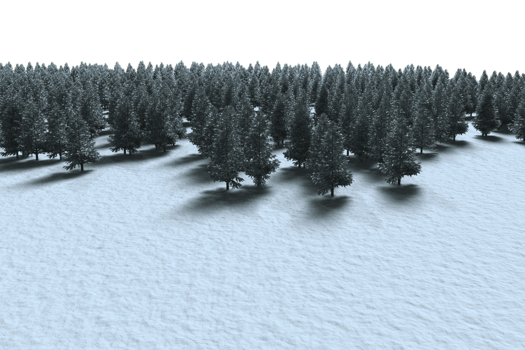 Digital Forest Illustration on Transparent Background in Winter