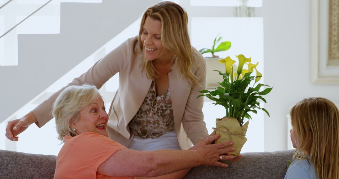 Smiling woman giving flower pot to elderly woman indoors - Free Images, Stock Photos and Pictures on Pikwizard.com