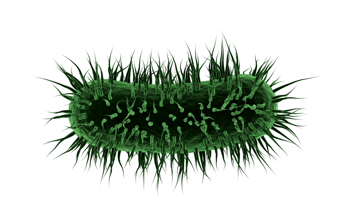 Digital Illustration of Green Virus Cell on Transparent Background - Download Free Stock Images Pikwizard.com