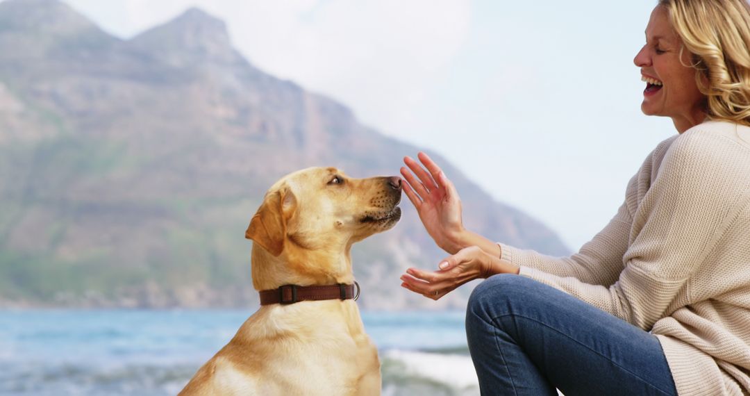 A woman shares a joyful beach moment with her attentive Labrador. - Free Images, Stock Photos and Pictures on Pikwizard.com