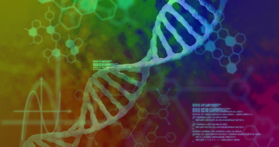 Colorful DNA Strand with Digital Interface