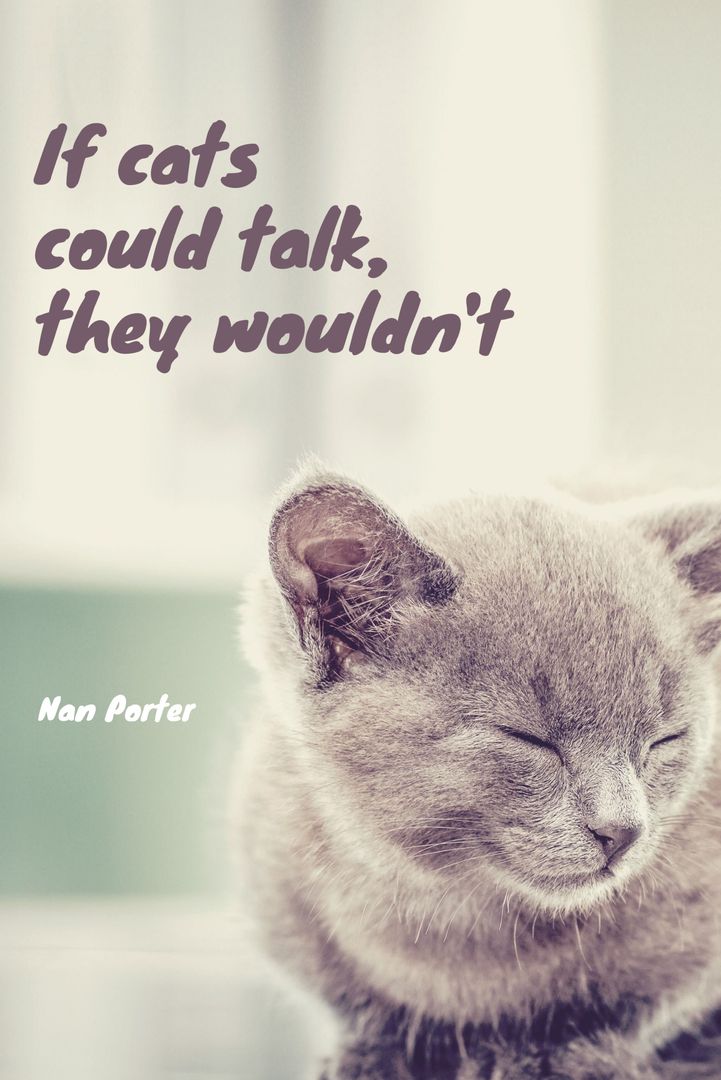 Peaceful Cat Inspires Mindfulness and Tranquility