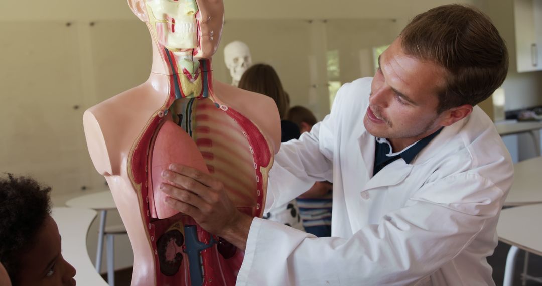 Male Teacher Explaining Human Anatomy Model to Students in Classroom - Free Images, Stock Photos and Pictures on Pikwizard.com