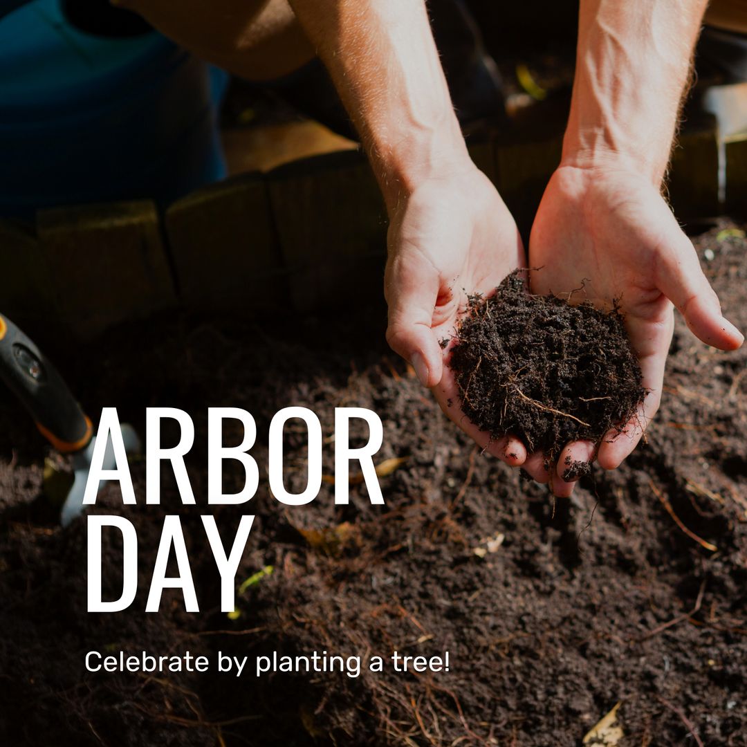 Hands Planting Sapling on Arbor Day Celebration