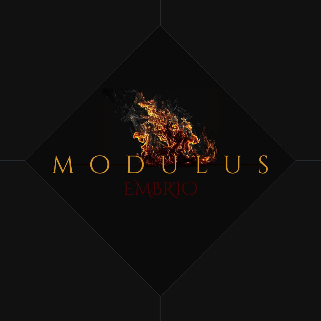 Modulus Embrio Logo with Flames on Black Background - Download Free Stock Templates Pikwizard.com