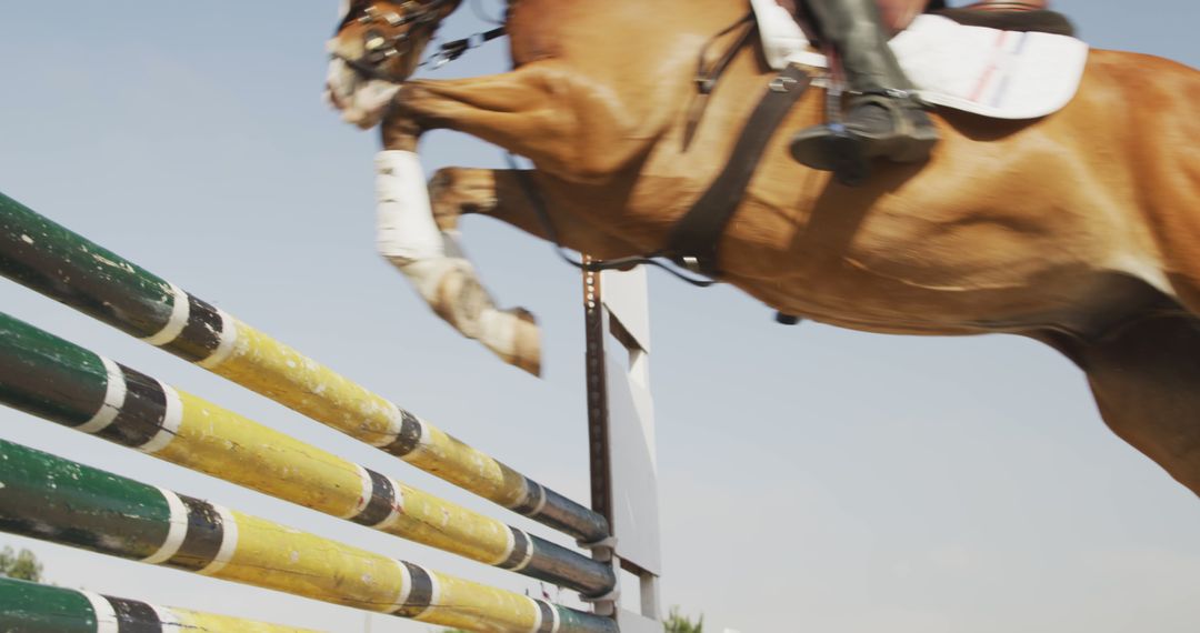 Horse Leaping Over Colored Obstacle in Equestrian Event - Free Images, Stock Photos and Pictures on Pikwizard.com