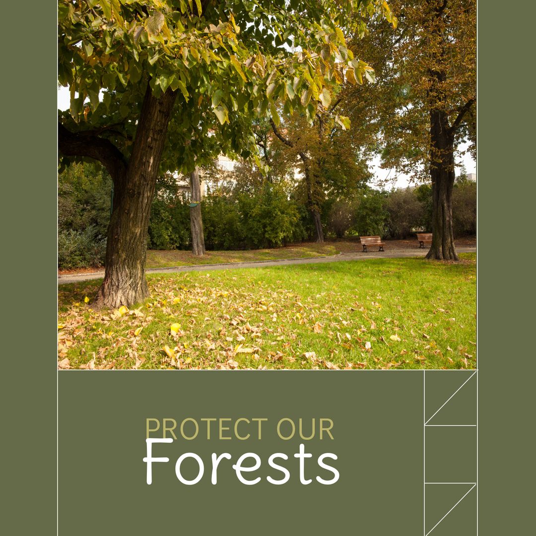 Protect Our Forests: Tranquil Woodland Scene with Greenery