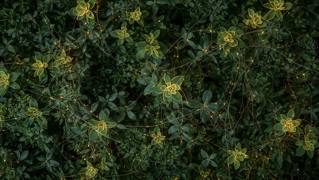 Glowing Variegated Succulent Rosettes with Copper Fairy Lights Creating Twilight Garden Ambience