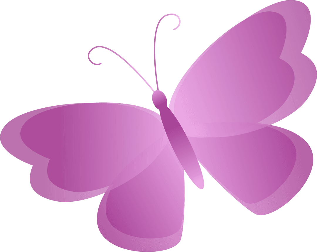 Transparent Pink Butterfly with Elegant Gradient Wings