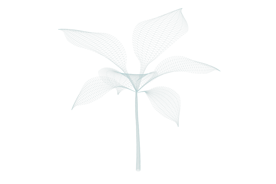 digital transparent flower shape with detailed pattern - Download Free Stock Images Pikwizard.com