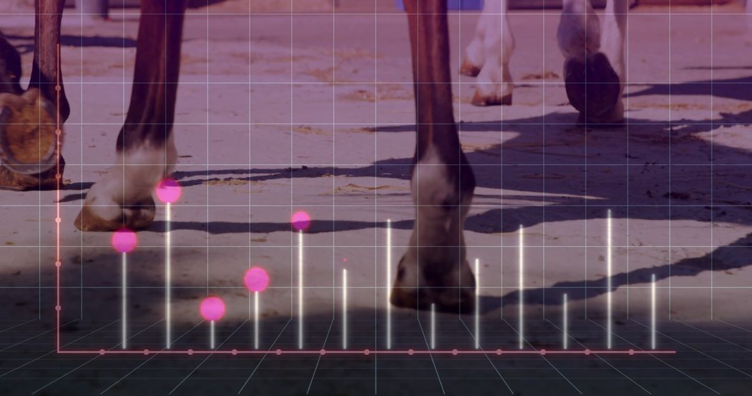 Equine biomechanics: analyzing horse hooves with digital visualization tools