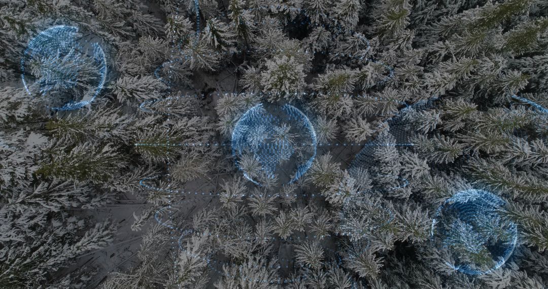 Aerial Winter Forest with Digital Connectivity Overlay