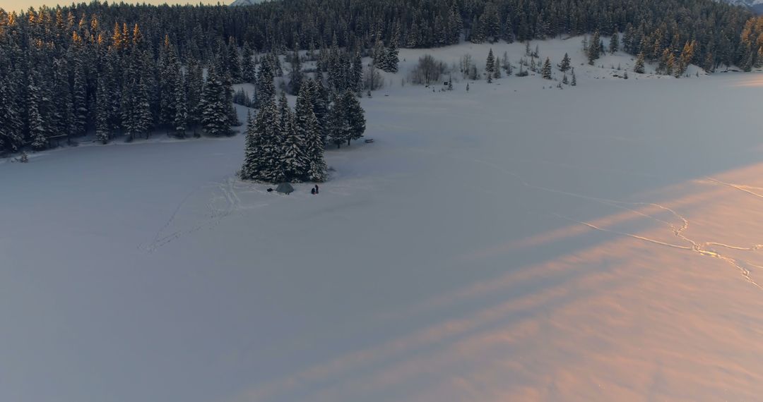 Winter Landscape with Snow-Covered Trees and Sunset Light - Free Images, Stock Photos and Pictures on Pikwizard.com