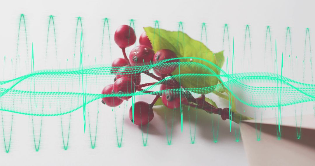 Minimalist red berries resting under cyan waveform overlay on pale background