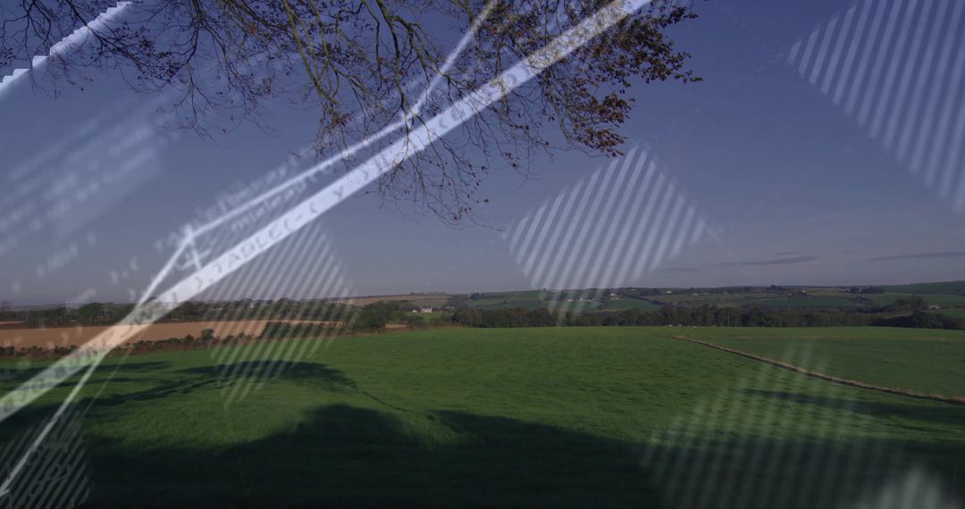 Tranquil Pasture with Shadows and Code Reflections