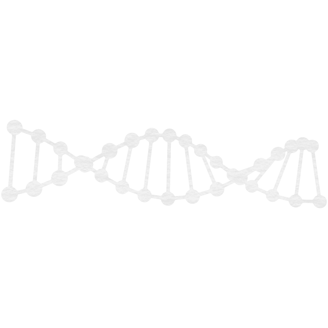 Transparent DNA Chain on Clear Background
